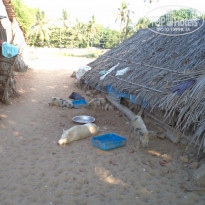 фото из отзыва ID 1358832