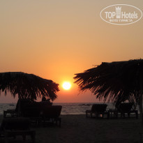 фото из отзыва ID 1358832