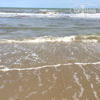 фото из отзыва ID 1359003