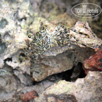 фото из отзыва ID 1359046