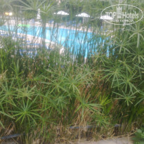 фото из отзыва ID 1359195