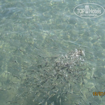 фото из отзыва ID 1359216