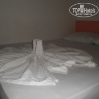 фото из отзыва ID 1359221