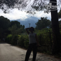 фото из отзыва ID 1359234