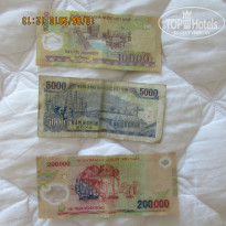 фото из отзыва ID 1359349