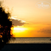 фото из отзыва ID 1359393