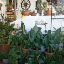 фото из отзыва ID 1359452