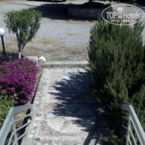 фото из отзыва ID 1359541