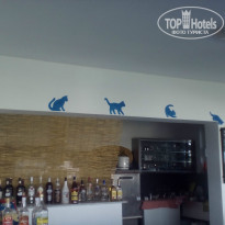 фото из отзыва ID 1359541