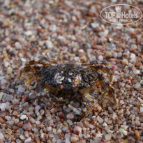 фото из отзыва ID 1358416