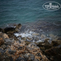 фото из отзыва ID 1359733