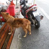 фото из отзыва ID 1359797