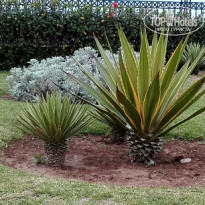 фото из отзыва ID 1359973