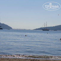 фото из отзыва ID 1359437