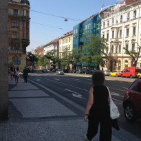 фото из отзыва ID 1357999