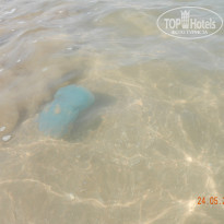 фото из отзыва ID 1359634