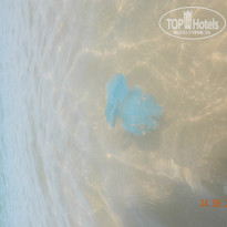 фото из отзыва ID 1359634