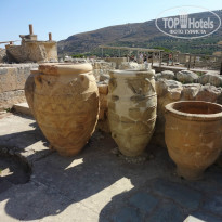 фото из отзыва ID 1358765