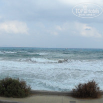 фото из отзыва ID 1358765