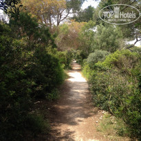 фото из отзыва ID 1357152