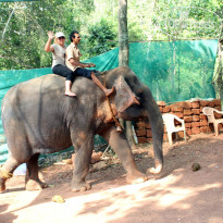 фото из отзыва ID 1350644