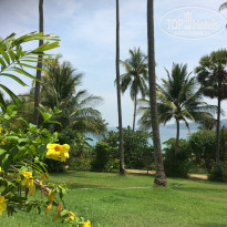 фото из отзыва ID 1351116