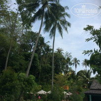 фото из отзыва ID 1351116