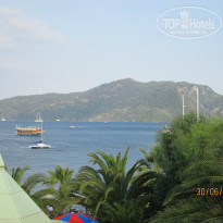 фото из отзыва ID 1351318