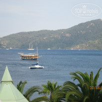 фото из отзыва ID 1351318