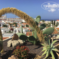 фото из отзыва ID 1353987