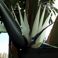 фото из отзыва ID 1353987