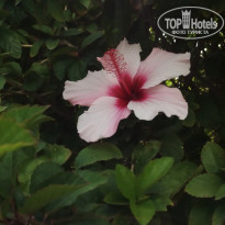 фото из отзыва ID 1353987