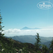 фото из отзыва ID 1353987