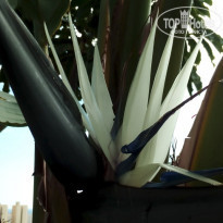 фото из отзыва ID 1353987