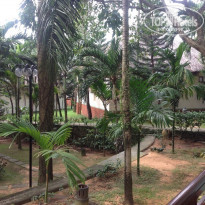 фото из отзыва ID 1359793