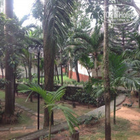 фото из отзыва ID 1359793