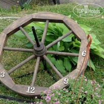 фото из отзыва ID 1356574