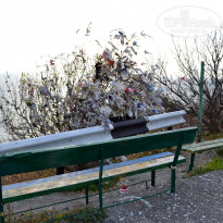 фото из отзыва ID 1356553