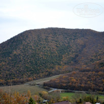 фото из отзыва ID 1356553