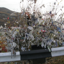 фото из отзыва ID 1356553