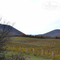 фото из отзыва ID 1356553