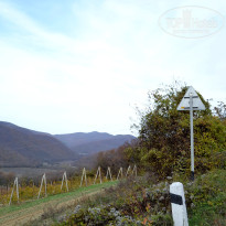 фото из отзыва ID 1356553