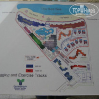 фото из отзыва ID 136189