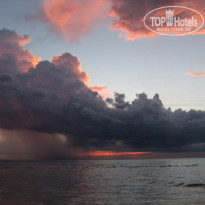 фото из отзыва ID 136311