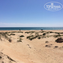 фото из отзыва ID 1360003