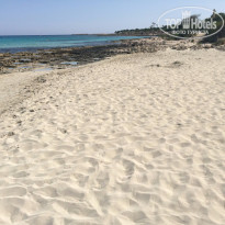 фото из отзыва ID 1360316