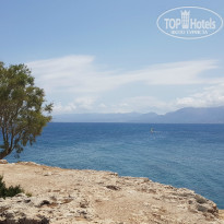 фото из отзыва ID 1360368