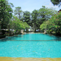 фото из отзыва ID 1360405