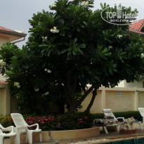 фото из отзыва ID 1360436