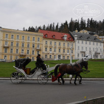 фото из отзыва ID 1360454